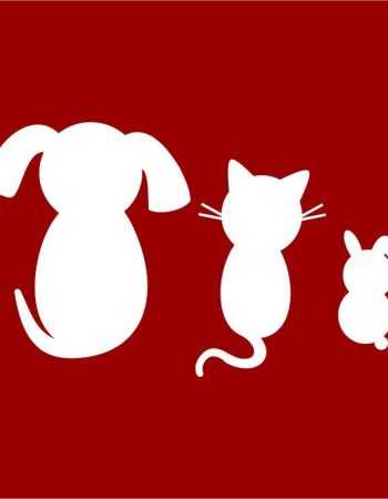 Cabinet Veterinar Dr. Coldea