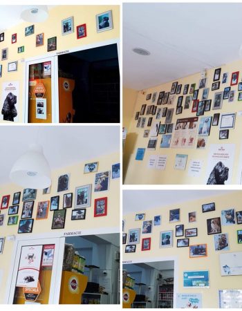 Farmacie Veterinară Dinda Pet