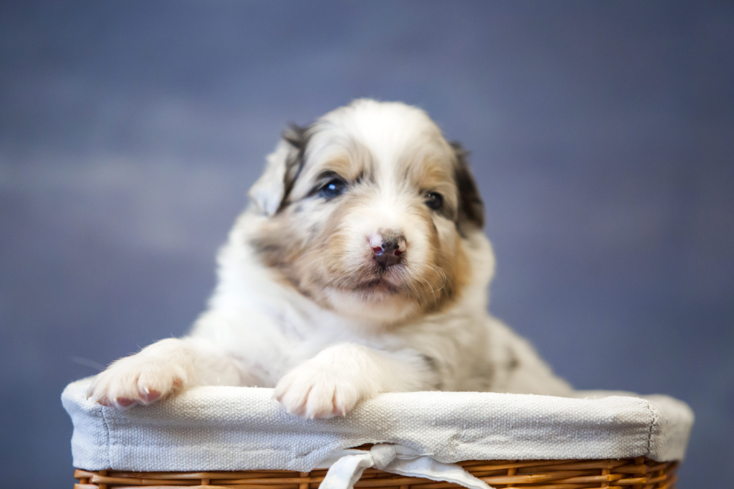 Sfaturi de îngrijire prevenitivă la vreme de pandemie 