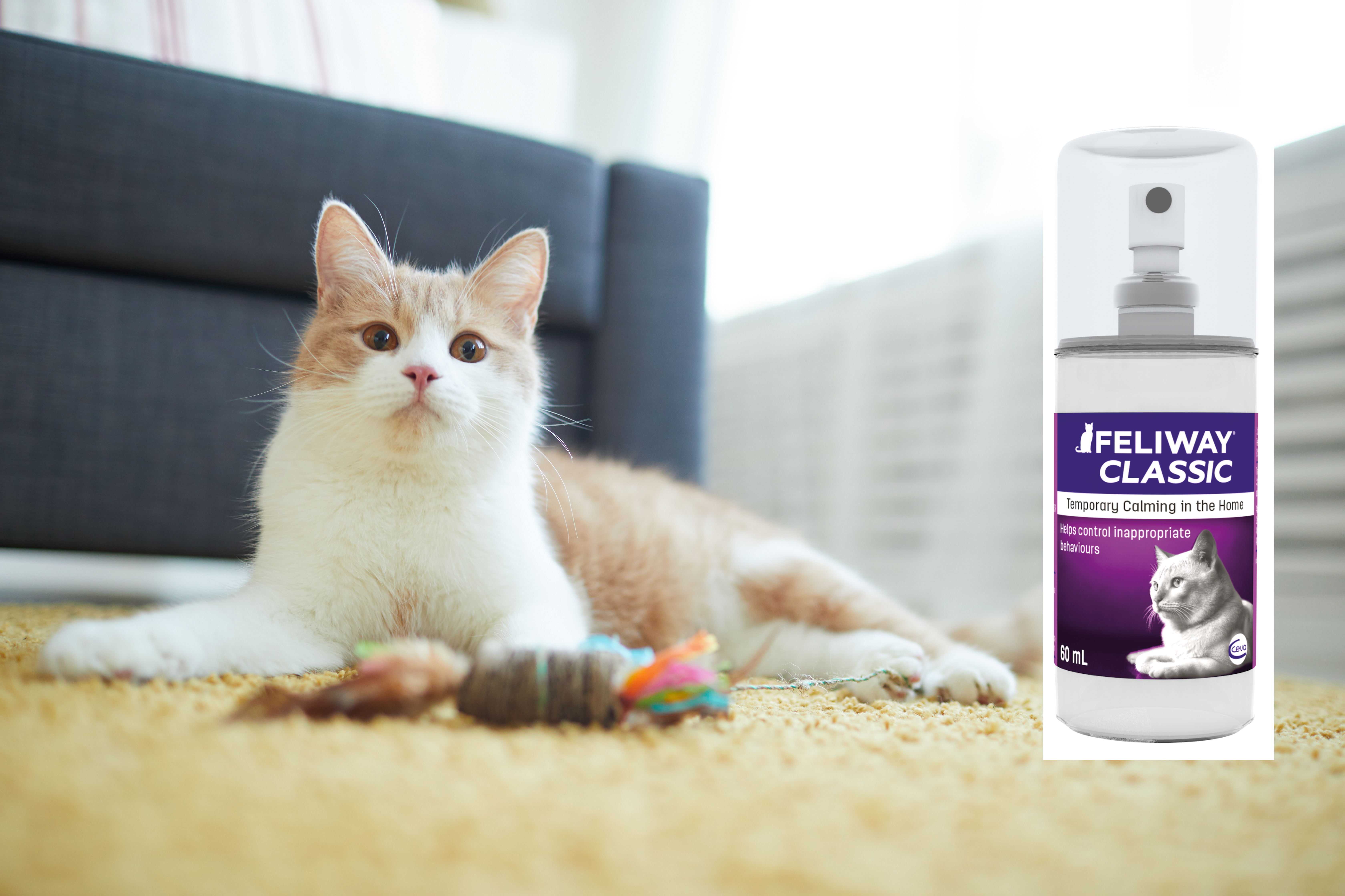 Mai mult confort și siguranță pentru feline cu feromonii sintetici