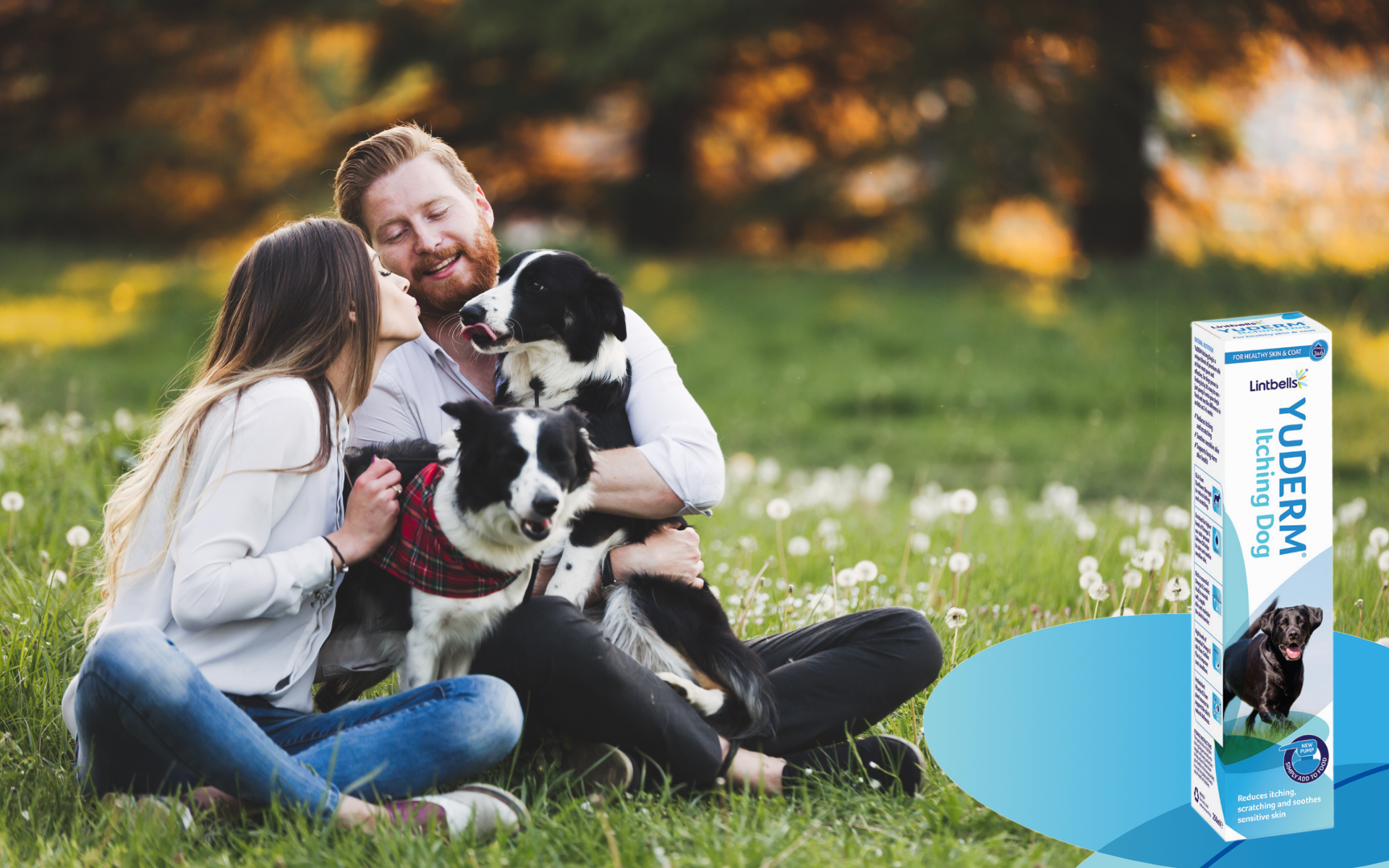 Noul produs YuDERM Itching Dog ajută la îmbunătățirea funcționalității barierei cutanate 